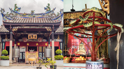 inside-malaysia39s-snake-temple-where-venomous-vipers-live-among-prayer-halls-and-people-worship-alo.jpeg