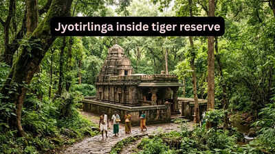 jyotirlinga-inside-a-tiger-reserve.jpg