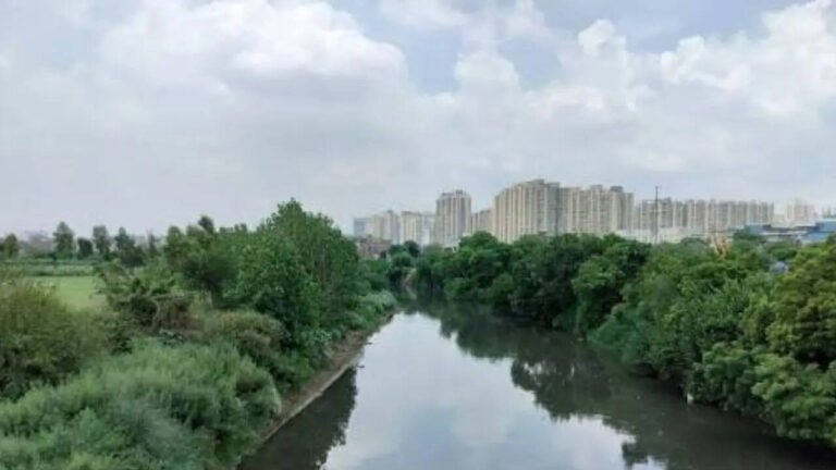 msid-132047284imgsize-44158.cms_.jpeg