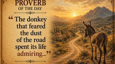 proverb-of-the-day-image-ai-generated.jpg
