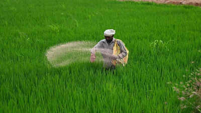 15-fertiliser-cargo-vessels-cross-strait-of-hormuz-safely-amid-middle-east-conflict.jpg