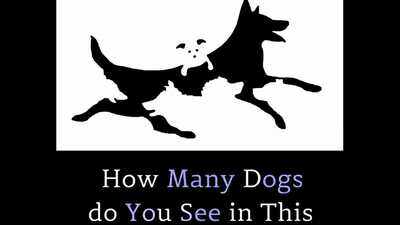 1783069054_am.jpg