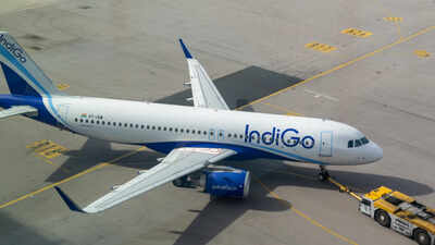 1784887489_indigo.jpg