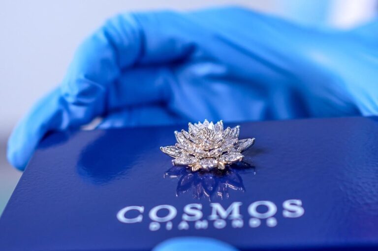Cosmos20Diamonds20artwork20Cosmic20Bloom.jpeg