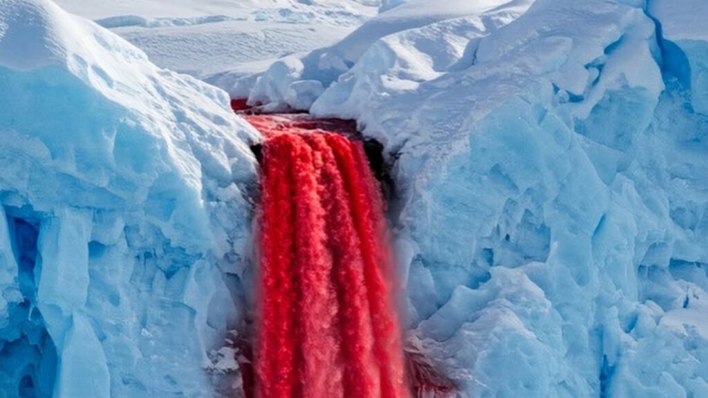 antarctica-.jpg