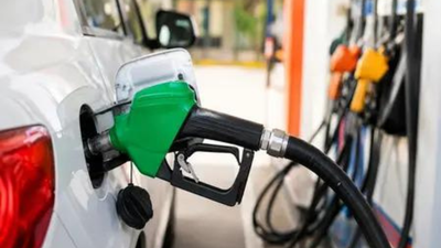 govt-clarification-on-e20.jpg