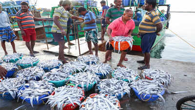 india-safeguards-billion-dollar-seafood-and-agri-exports-as-eu-tightens-antibiotic-norms.jpg