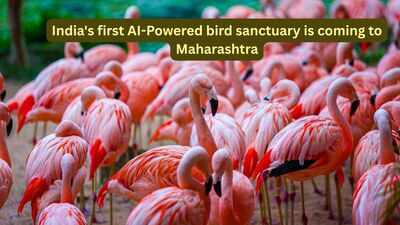 india39s-first-ai-powered-bird-sanctuary-is-coming-to-maharashtra.jpg