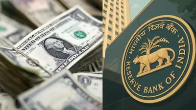 india39s-forex-reserves-explained.jpg