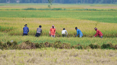 indian-agriculture.jpg