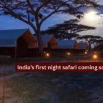 indias-first-night-safari-coming-soon.jpg