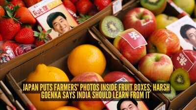 japan-puts-farmers39-photos-inside-fruit-boxes-harsh-goenka-says-india-should-learn-from-it.jpg