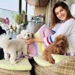 kriti-sanon.jpg