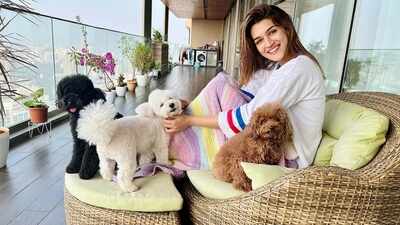 kriti-sanon.jpg