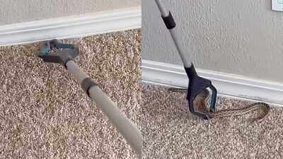 snake-hiding-inside-tiny-bedroom-floor-hole-leaves-internet-stunned.jpg