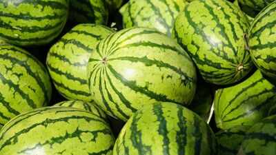 the-sweetest-watermelon-is-often-the-ugliest-7-signs-to-look-for-before-buying.jpg