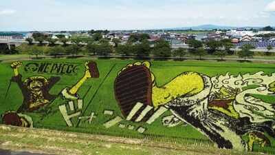 this-japanese-village-hides-giant-artworks-in-its-rice-fields-from-tanjiro-to-napoleon-they-only-eme.jpeg