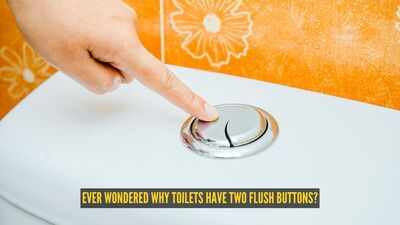 why-do-toilets-have-two-flush-buttons.jpg